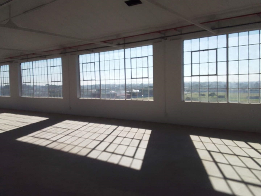 To Let commercial Property for Rent in Diep River Western Cape